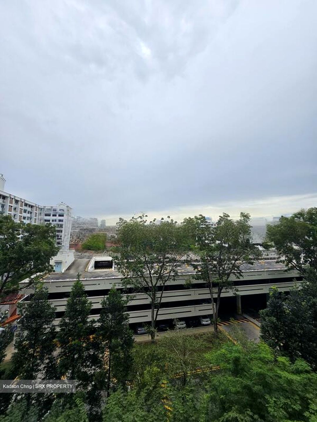 The Canopy (D27), Condominium #482566911